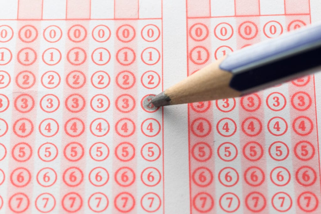 How Differentiated Instruction Is A Benefit In Private Education